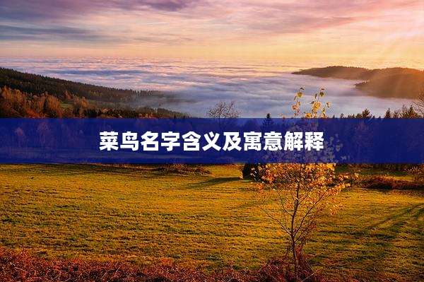 菜鸟名字含义及寓意解释