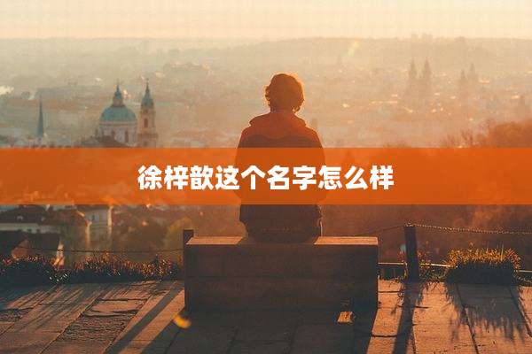 徐梓歆这个名字怎么样