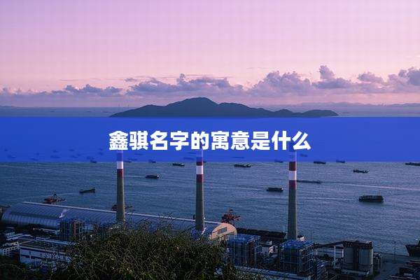 鑫骐名字的寓意是什么