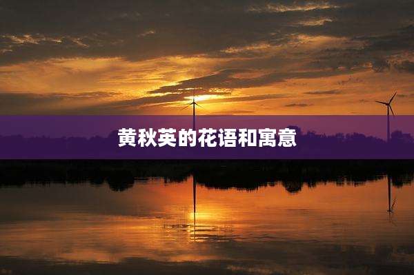 黄秋英的花语和寓意