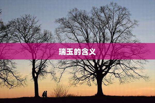 瑞玉的含义
