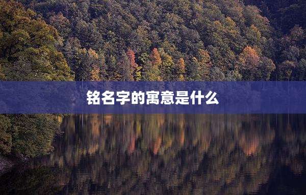 铭名字的寓意是什么