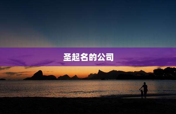 圣起名的公司