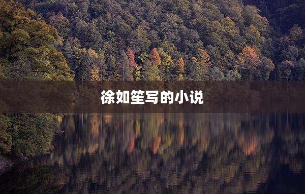 徐如笙写的小说