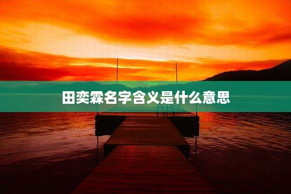 田奕霖名字含义是什么意思