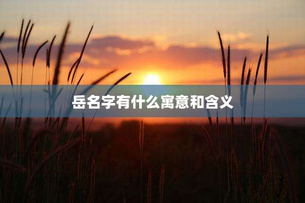 岳名字有什么寓意和含义