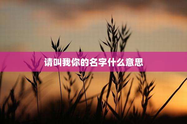 请叫我你的名字什么意思