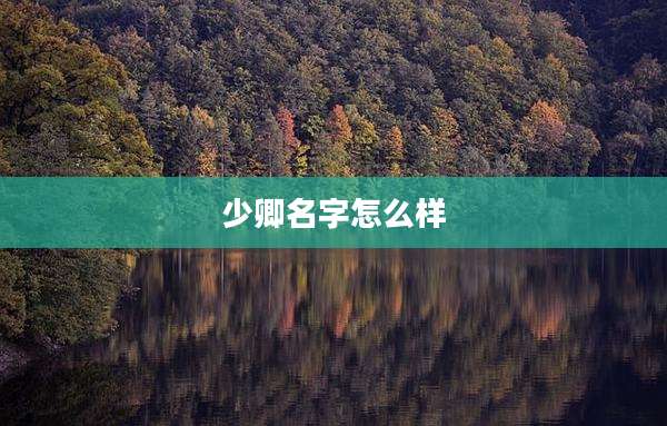 少卿名字怎么样