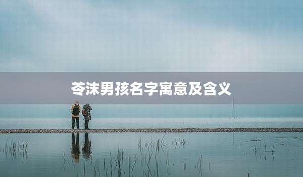 苓沫男孩名字寓意及含义