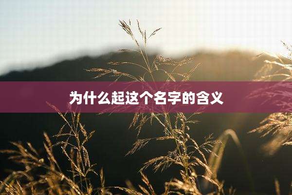 为什么起这个名字的含义