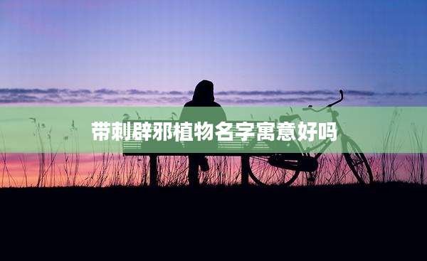 带刺辟邪植物名字寓意好吗