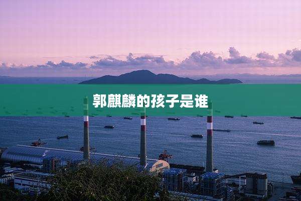 郭麒麟的孩子是谁