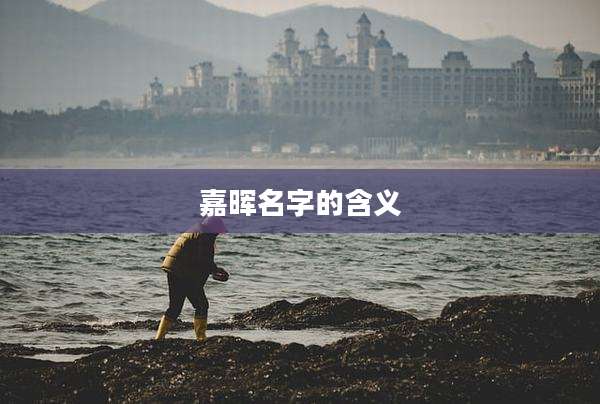 嘉晖名字的含义
