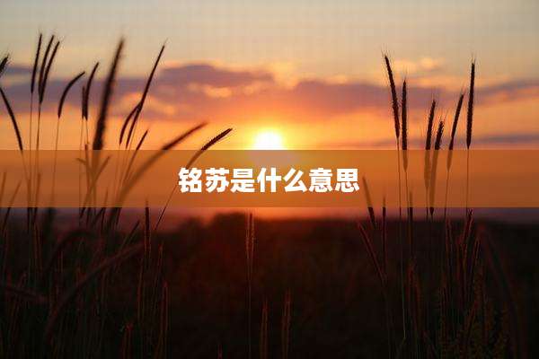 铭苏是什么意思