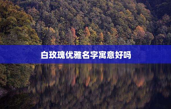 白玫瑰优雅名字寓意好吗