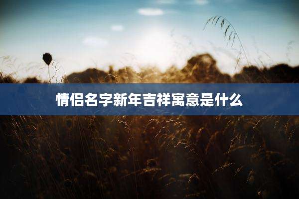 情侣名字新年吉祥寓意是什么