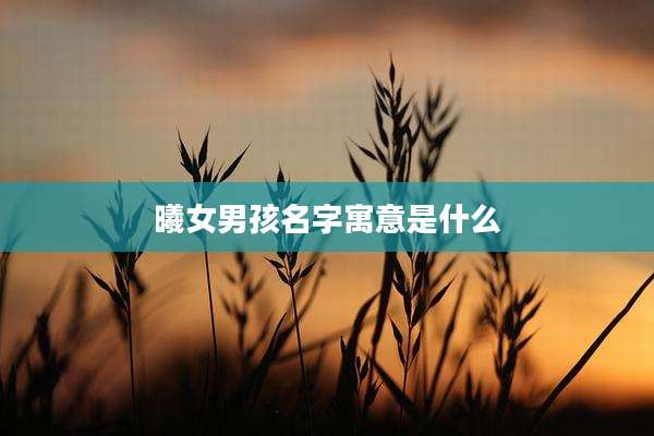 曦女男孩名字寓意是什么