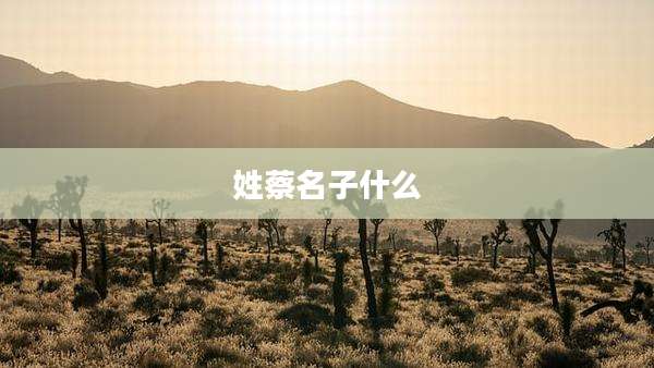 姓蔡名子什么