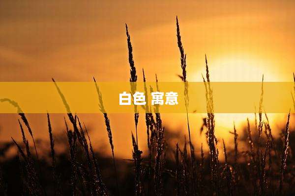 白色 寓意