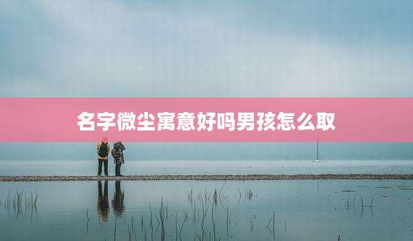 名字微尘寓意好吗男孩怎么取