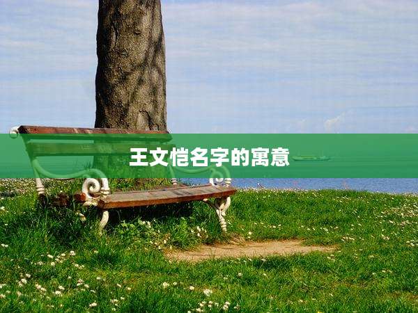王文恺名字的寓意