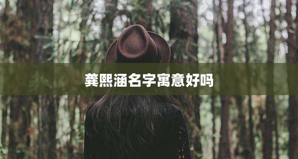 龚熙涵名字寓意好吗