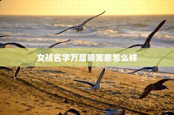 女孩名字万晨曦寓意怎么样