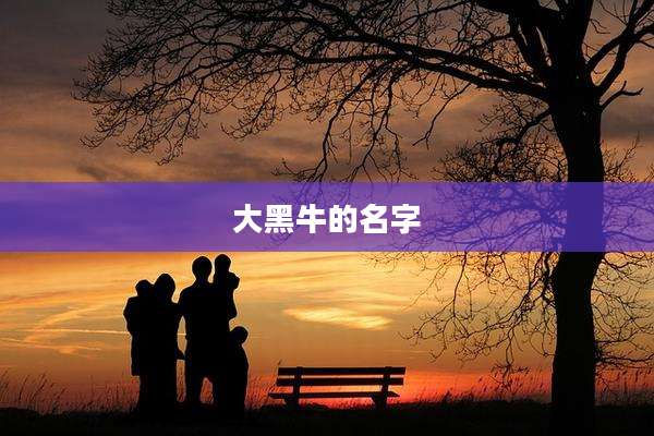 大黑牛的名字