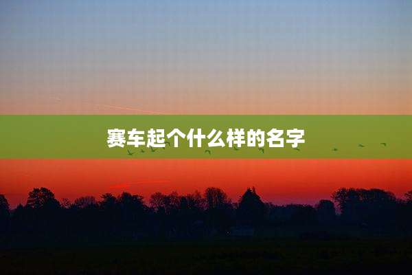 赛车起个什么样的名字