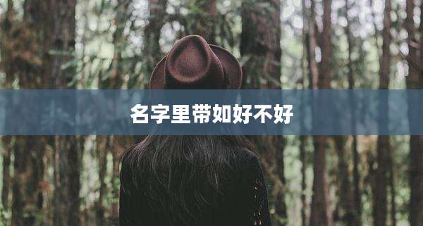 名字里带如好不好