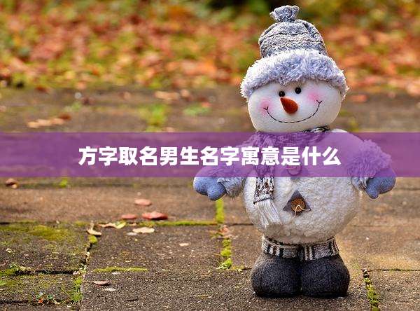 方字取名男生名字寓意是什么