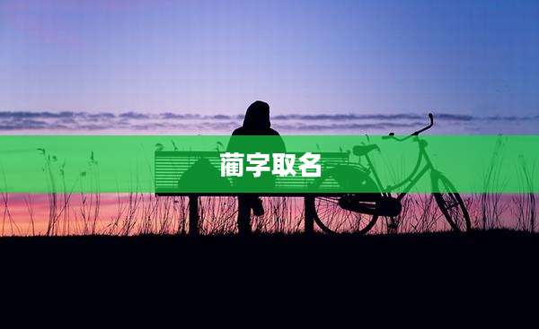 蔺字取名