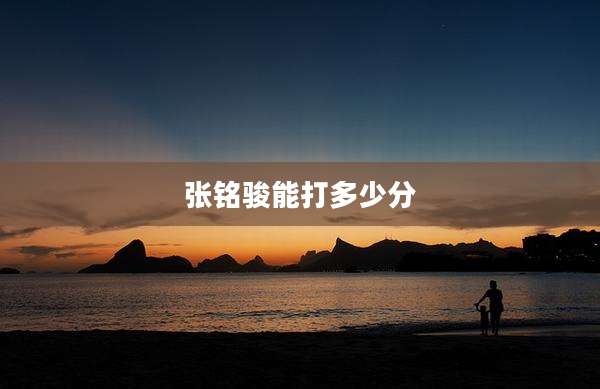 张铭骏能打多少分