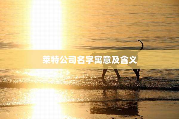 莱特公司名字寓意及含义