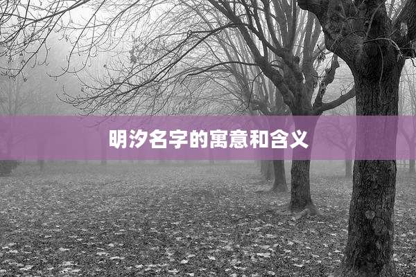 明汐名字的寓意和含义