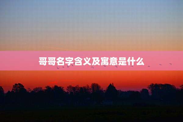 哥哥名字含义及寓意是什么