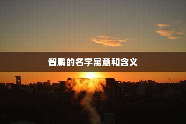 智鹏的名字寓意和含义