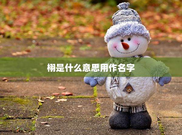 栩是什么意思用作名字