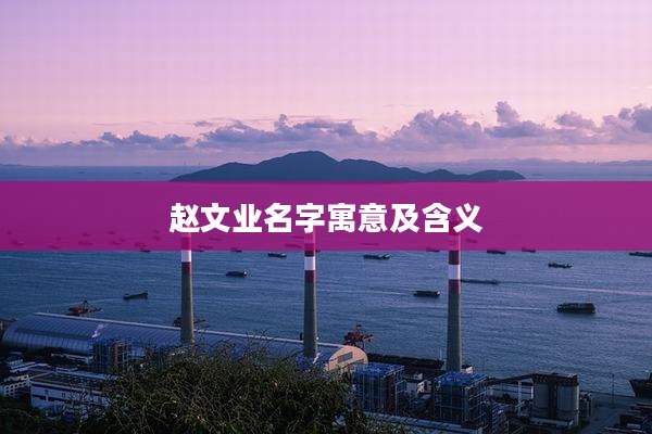 赵文业名字寓意及含义