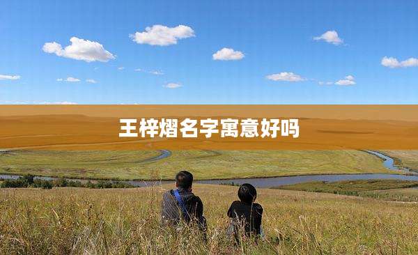 王梓熠名字寓意好吗