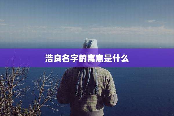 浩良名字的寓意是什么