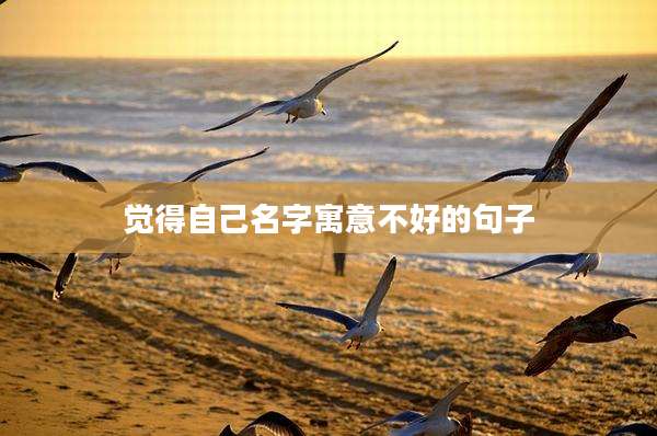觉得自己名字寓意不好的句子