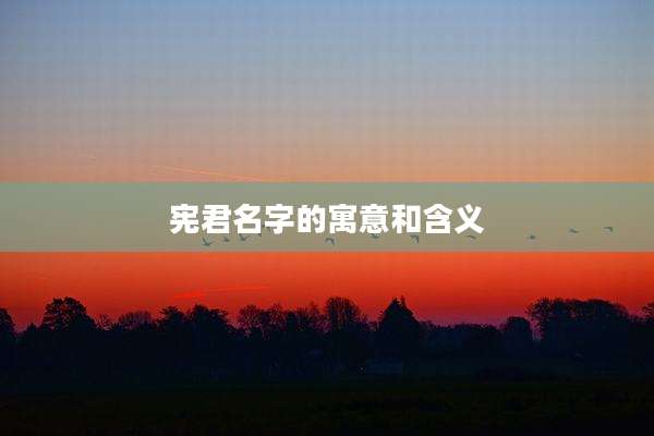 宪君名字的寓意和含义