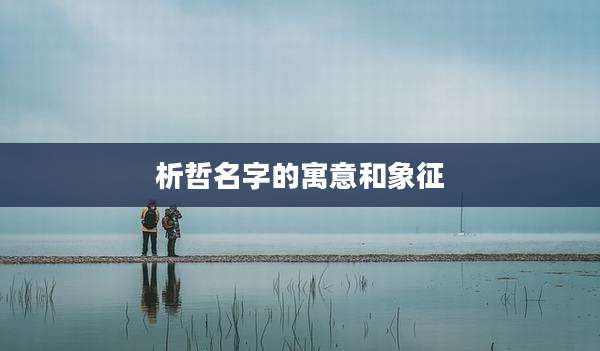 析哲名字的寓意和象征