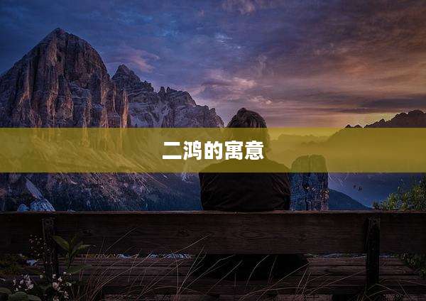 二鸿的寓意