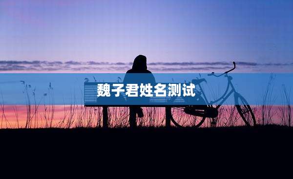 魏子君姓名测试