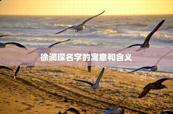 徐润琛名字的寓意和含义