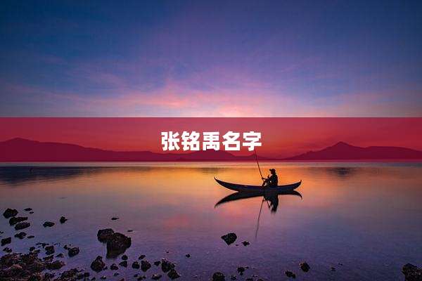张铭禹名字