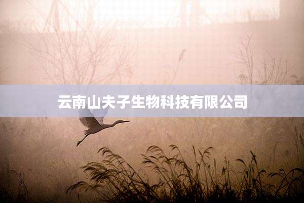 云南山夫子生物科技有限公司