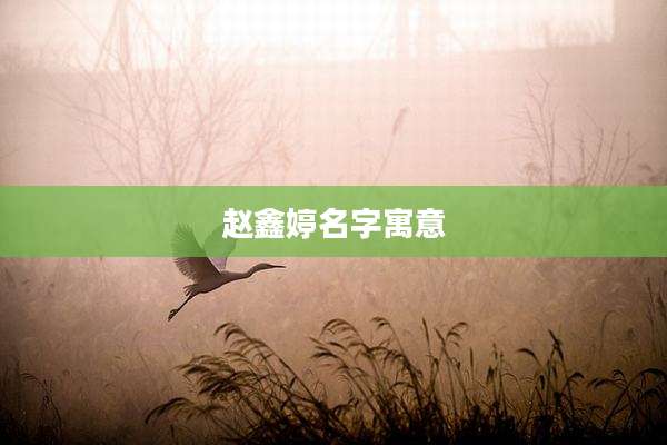 赵鑫婷名字寓意